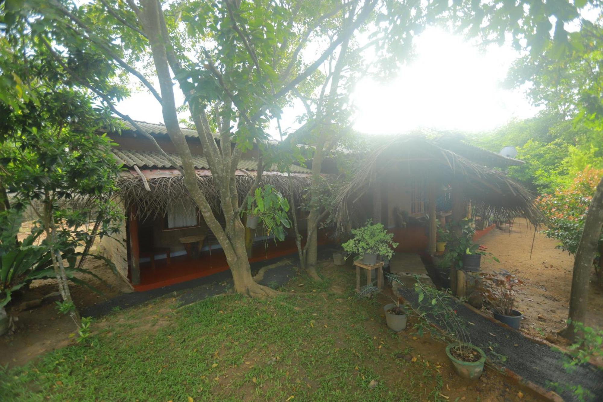 Dinna Nature Hostel Sigiriya Exteriör bild